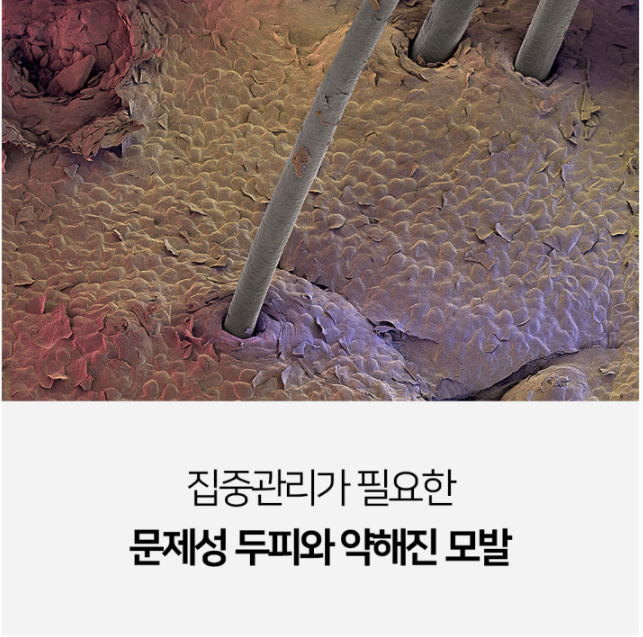 c102700f802ca9817efaf30730eb07c9_1695109175_6313.PNG