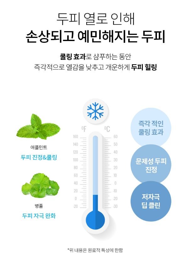 커리쉴_쿨허브샴푸_상품페이지03.JPG