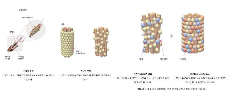 시세이도_염모제_상품페이지_02.JPG